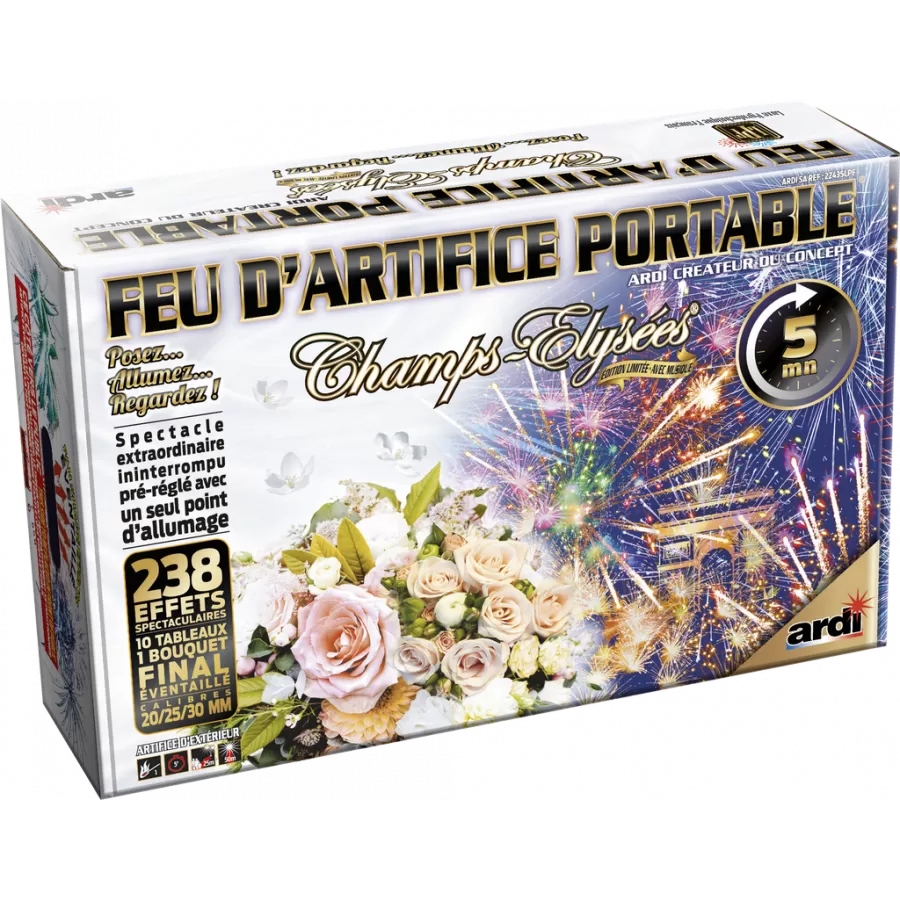 Feu d'artifice automatique Champs-Elysées 5 minutes